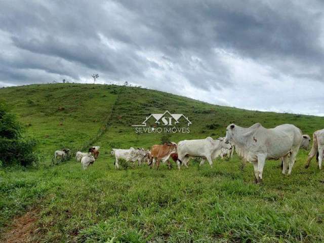 Fazenda- Paraíba do Sul, Centro