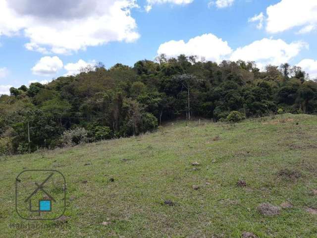 Terreno à venda, 60000 m² por R$ 650.000 - Centro - Guararema/SP