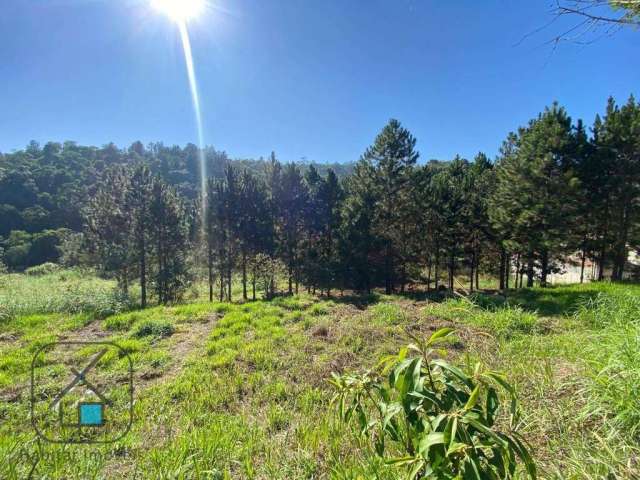 Terreno à venda, 10000 m² por R$ 290.000,00 - Serrote - Guararema/SP