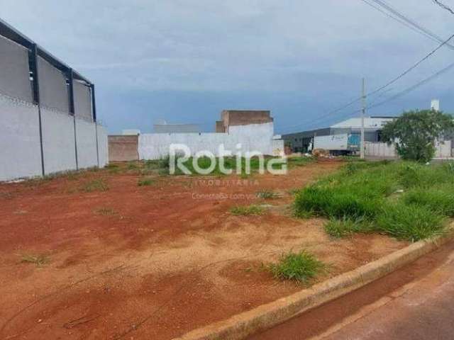 Terreno para alugar, Novo Mundo - Uberlândia/MG - Rotina Imobiliária