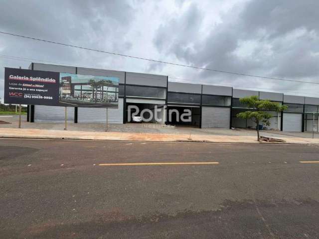 Loja para alugar, Jardim Botânico - Uberlândia/MG - Rotina Imobiliária