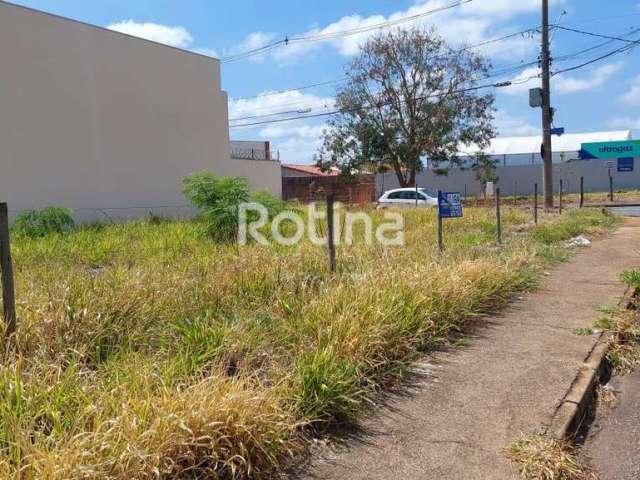 Terreno para alugar, Alto Umuarama - Uberlândia/MG - Rotina Imobiliária