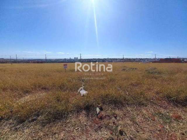 Terreno para alugar, Alto Umuarama - Uberlândia/MG - Rotina Imobiliária