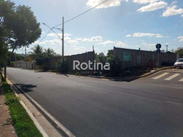 Terreno para alugar, Aclimação - Uberlândia/MG - Rotina Imobiliária