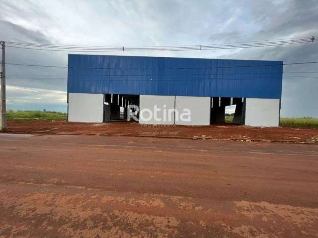 Galpão para alugar, Centro Empresarial Leste - Uberlândia/MG - Rotina Imobiliária