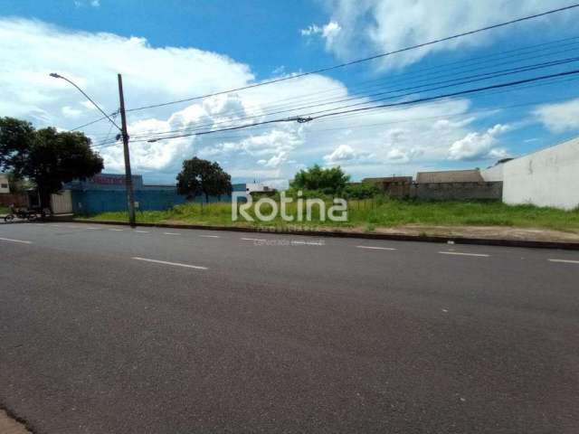 Terreno para alugar, Jardim Botânico - Uberlândia/MG - Rotina Imobiliária