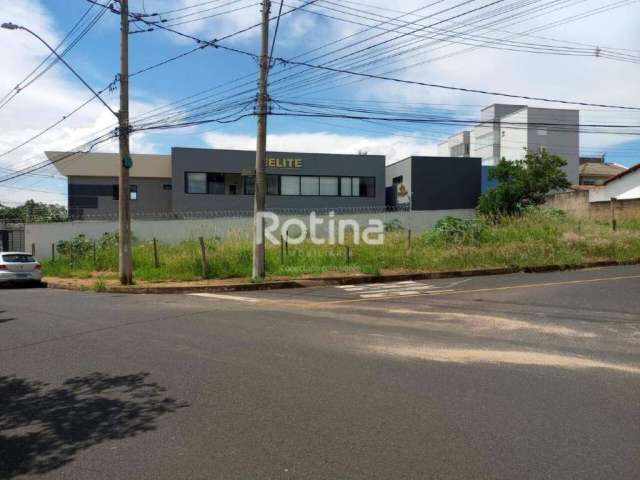 Área para alugar, Jardim Botânico - Uberlândia/MG - Rotina Imobiliária