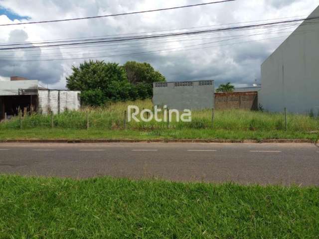 Área para alugar, Jardim Botânico - Uberlândia/MG - Rotina Imobiliária