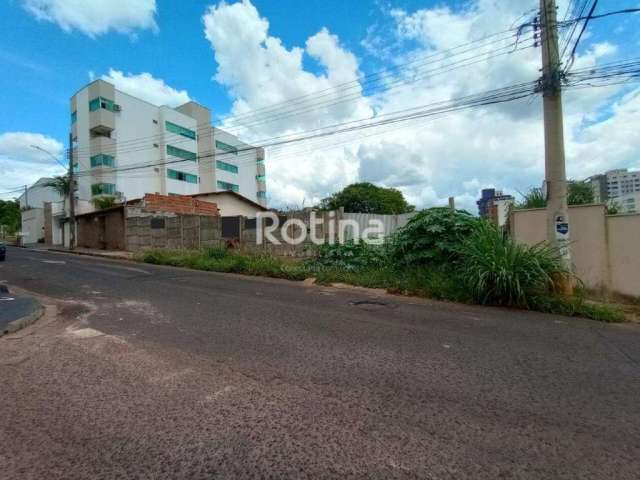 Área para alugar, Patrimônio - Uberlândia/MG - Rotina Imobiliária