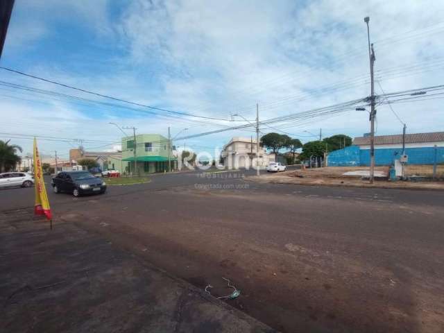 Área para alugar, Tibery - Uberlândia/MG - Rotina Imobiliária