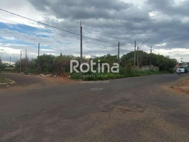 Terreno para alugar, Segismundo Pereira - Uberlândia/MG - Rotina Imobiliária