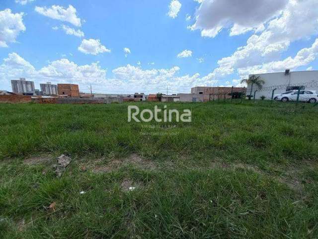 Terreno para alugar, GSP Life I - Uberlândia/MG - Rotina Imobiliária