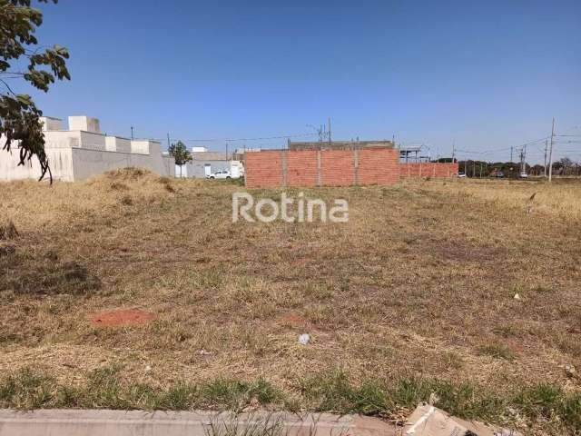 Terreno para alugar, Minas Gerais - Uberlândia/MG - Rotina Imobiliária