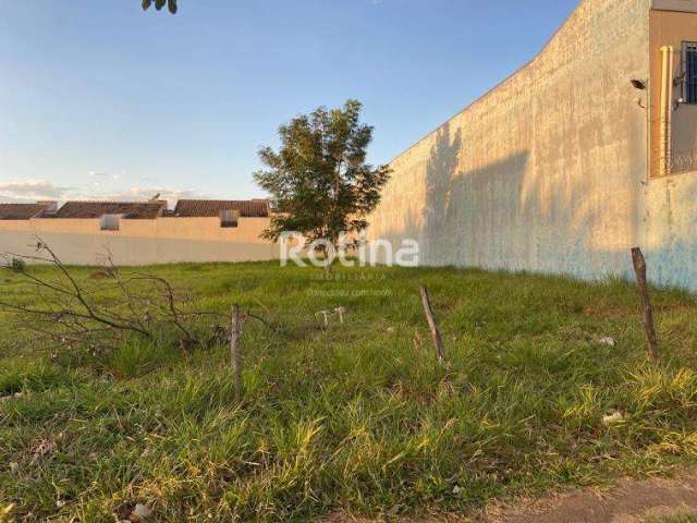 Terreno para alugar, Alto Umuarama - Uberlândia/MG - Rotina Imobiliária