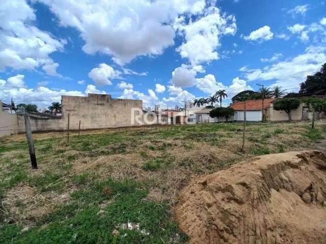 Terreno para alugar, Vigilato Pereira - Uberlândia/MG - Rotina Imobiliária