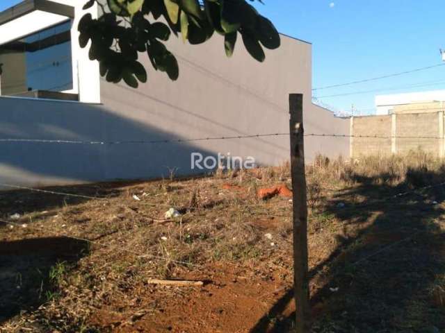 Terreno para alugar, Novo Mundo - Uberlândia/MG - Rotina Imobiliária