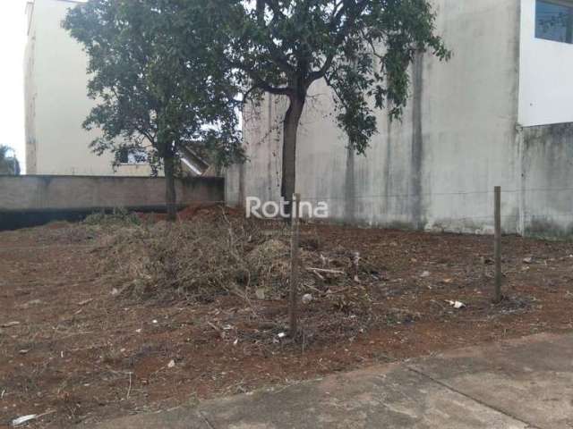 Terreno para alugar, Jardim Inconfidência - Uberlândia/MG - Rotina Imobiliária