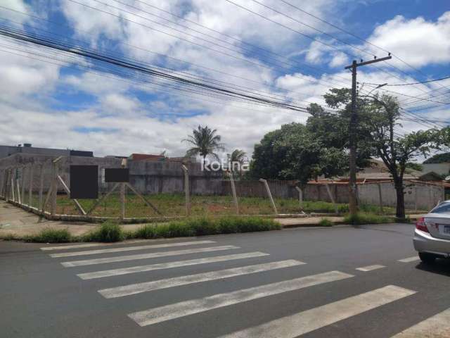 Área para alugar, Umuarama - Uberlândia/MG - Rotina Imobiliária