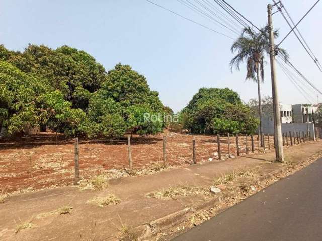 Terreno para alugar, Chacaras Tubalina e Quartel - Uberlândia/MG - Rotina Imobiliária