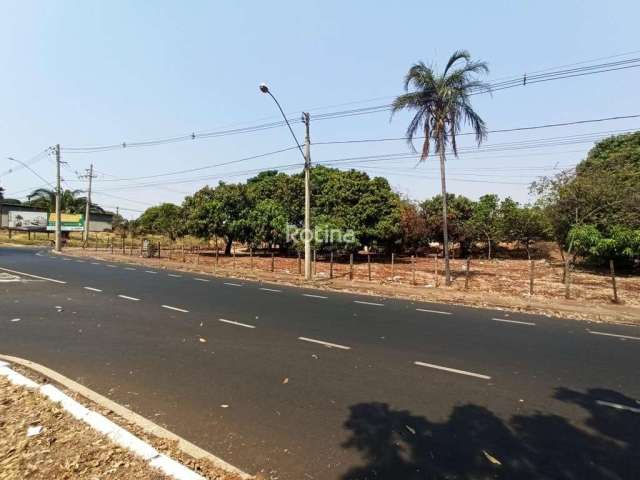 Terreno para alugar, Jardim Patrícia - Uberlândia/MG - R$ 500,00