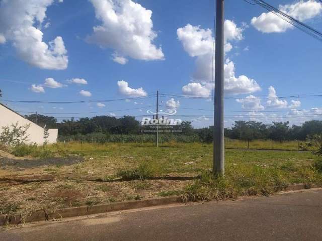 Terreno para alugar, Jardim Botânico - Uberlândia/MG - Rotina Imobiliária