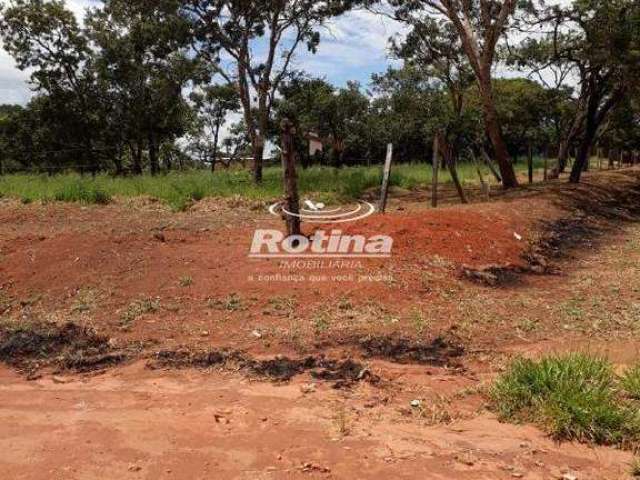 Terreno para alugar, Distrito Industrial - Uberlândia/MG - Rotina Imobiliária