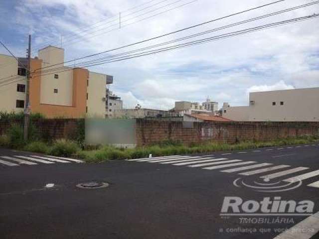 Terreno para alugar, Brasil - Uberlândia/MG - Rotina Imobiliária