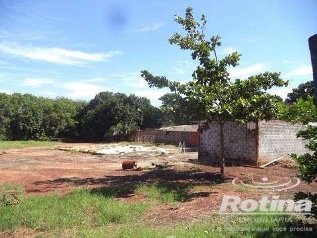 Área para alugar, Jardim Brasília - Uberlândia/MG - Rotina Imobiliária