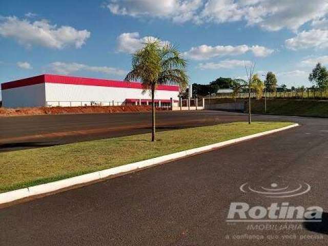 Área para alugar, Distrito Industrial - Uberlândia/MG - Rotina Imobiliária