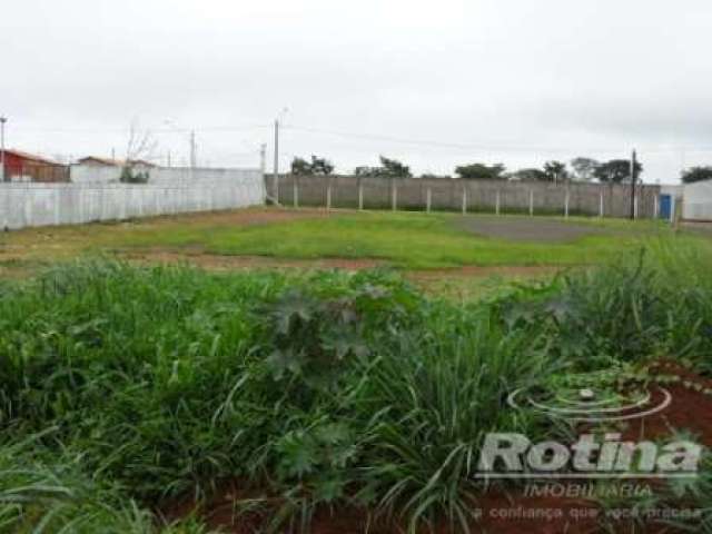 Terreno para alugar, Minas Gerais - Uberlândia/MG - Rotina Imobiliária