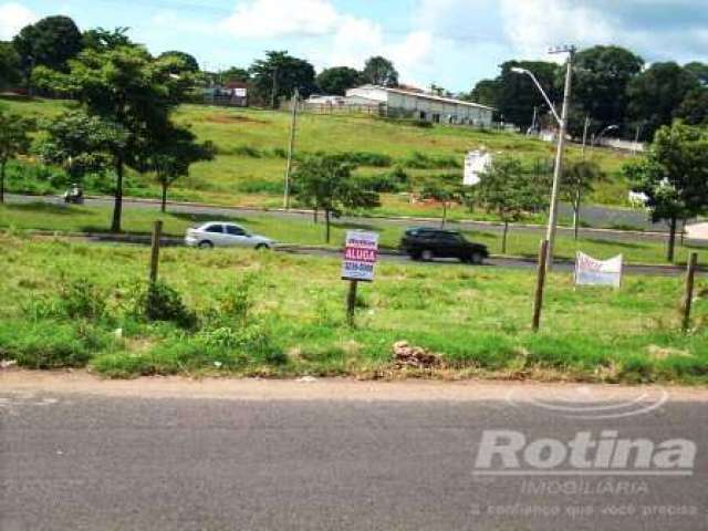 Terreno para alugar, Segismundo Pereira - Uberlândia/MG - Rotina Imobiliária