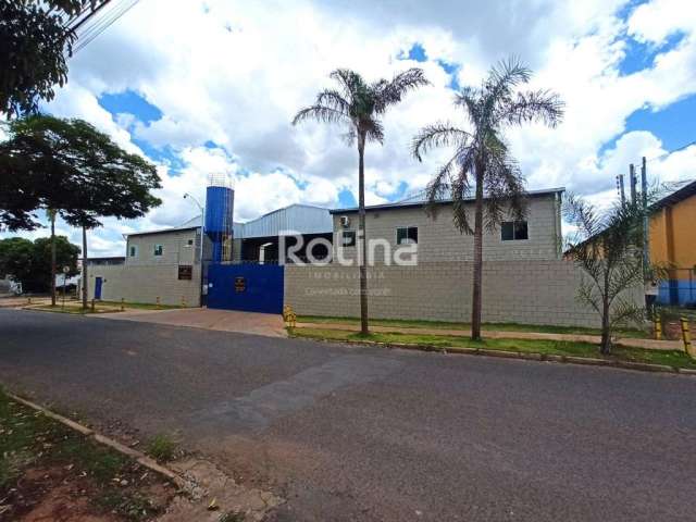 Galpão para alugar, Distrito Industrial - Uberlândia/MG - Rotina Imobiliária