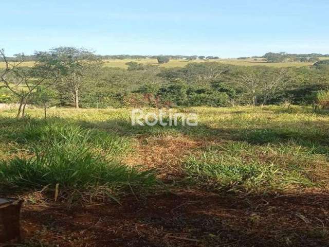 Terreno para alugar, Morumbi - Uberlândia/MG - Rotina Imobiliária