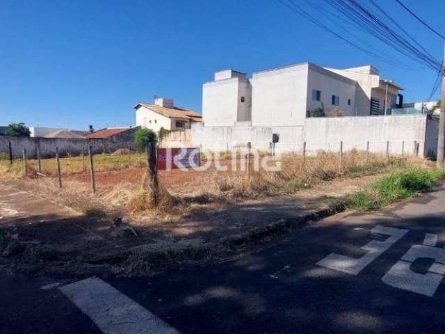 Terreno para alugar, Alto Umuarama - Uberlândia/MG - Rotina Imobiliária