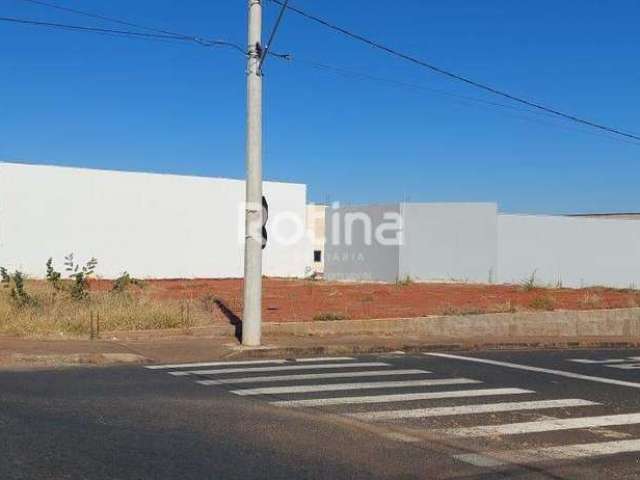 Terreno para alugar, Bosque dos Buritis - Uberlândia/MG - Rotina Imobiliária