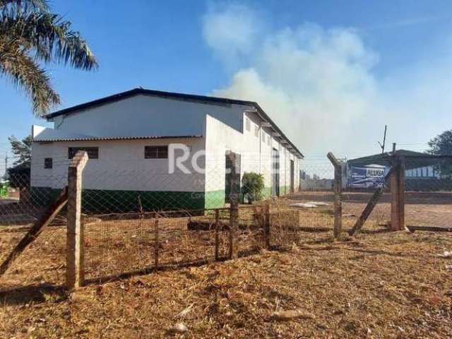 Galpão para alugar, Distrito Industrial - Uberlândia/MG - Rotina Imobiliária