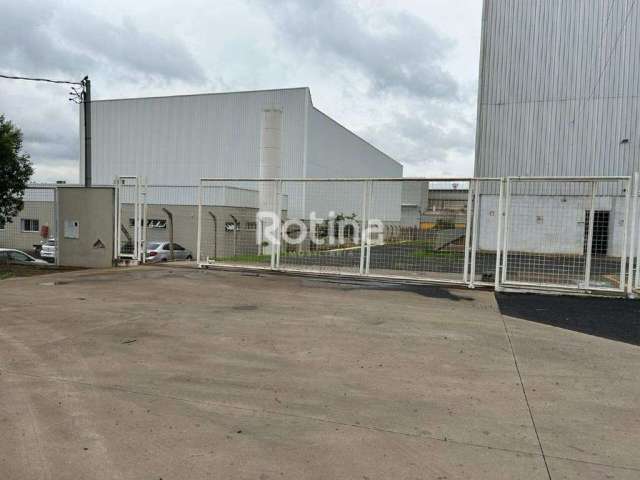 Galpão para alugar, Distrito Industrial - Uberlândia/MG - Rotina Imobiliária