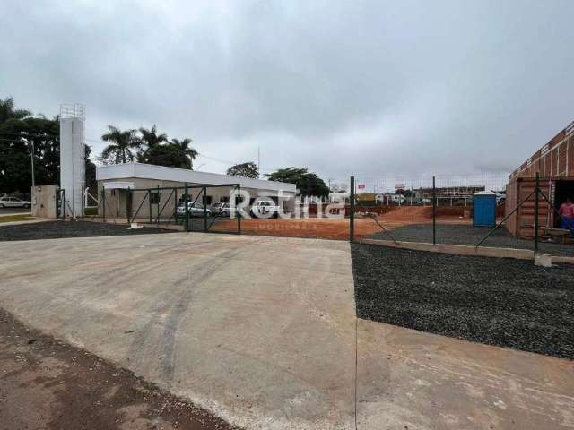 Área para alugar, Santa Rosa - Uberlândia/MG - Rotina Imobiliária