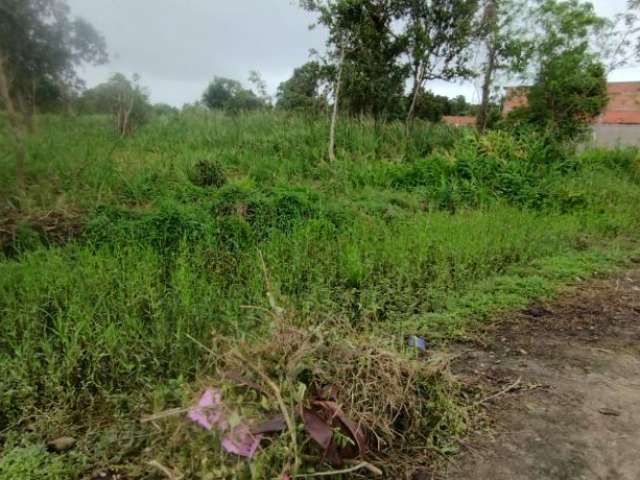 Terreno em Mongaguá com escritura 10 x 39.50 florida mirim R$ 30 mil reais  entrada 1200 metros da pista