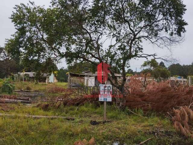 Terreno à venda, 360 m² por R$ 80.000,00 - Balneário Pinus Park - Arroio do Sal/RS