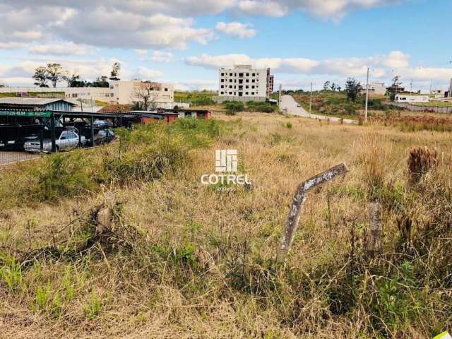 Terreno comercial situado na Av. Prefeito Evandro Behr (faixa velha de Camobi) e