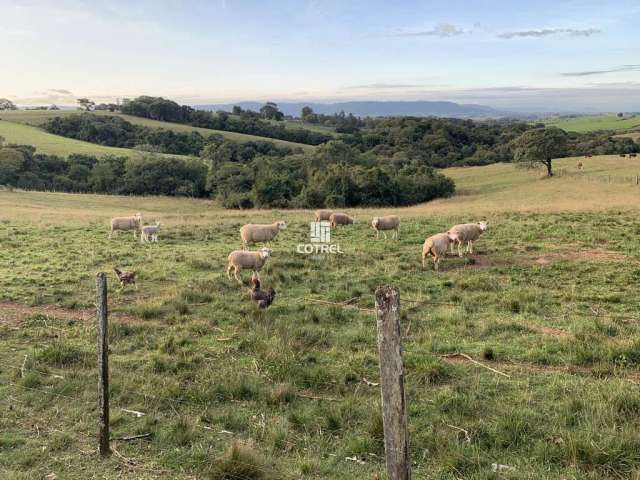 Chácara 3 hectares no Distrito de Pains localizado na cidade de Santa Maria/RS