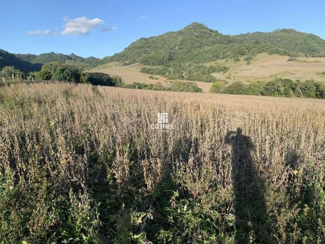 Campo com 176 hectares em São Pedro do Sul/RS