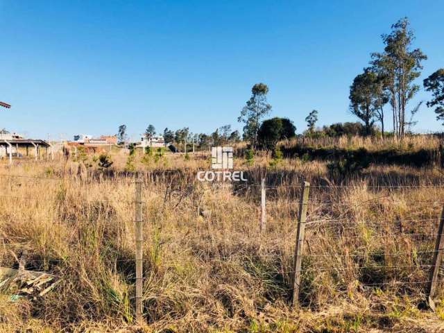 Terreno comercial com 3.000m² na Avenida Prefeito Evandro Behr (faixa velha de C