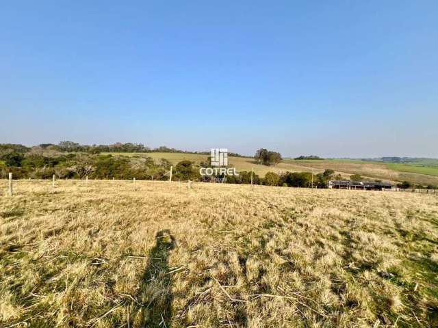 Chácara para venda com 10 hectares no distrito de Pains