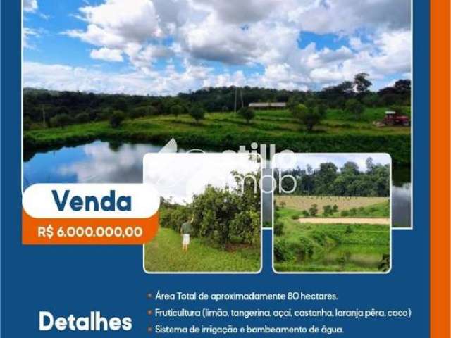 Fazenda com 80 hectares em rio preto da eva (p)