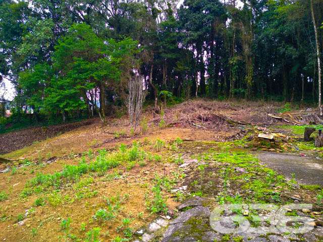 Terreno | Joinville | Bom Retiro