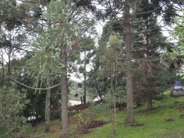 TERRENO no bairro VARZEA GRANDE em Gramado