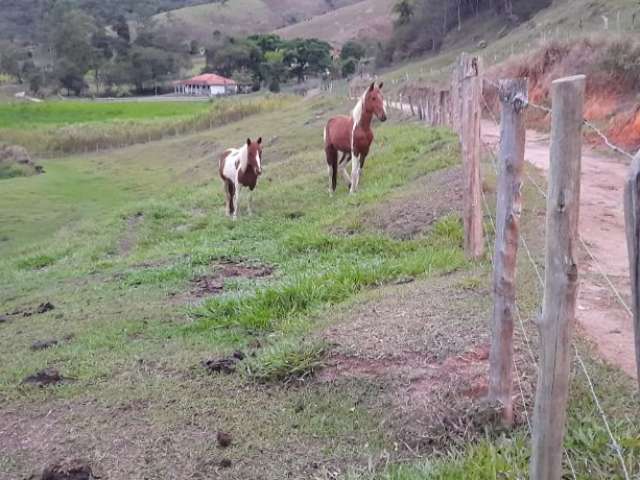 Fazenda C/ Porteira Fechada.50 Alqueires. 100% de permutas. c/140 cabeças de gado.Preço Especial.