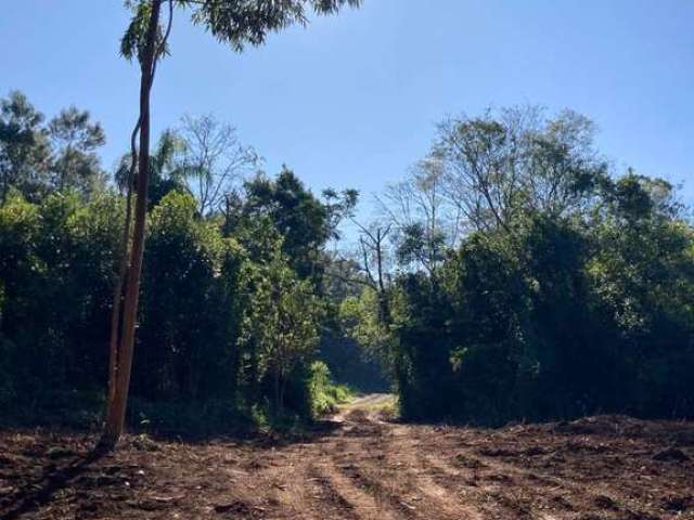 Área para Venda em Nova Petrópolis, Piraja